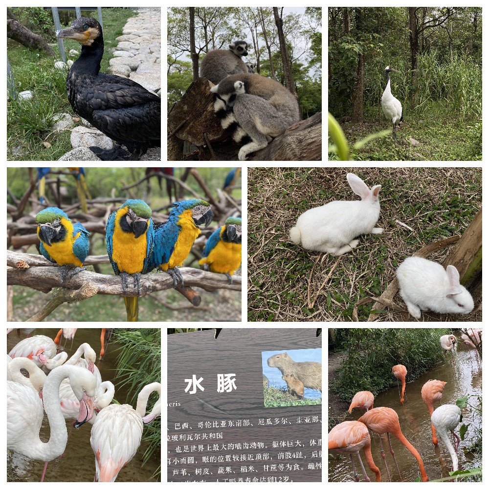 厚積薄發(fā)，蓄力前行：大手牽小手，共圓實佳夢